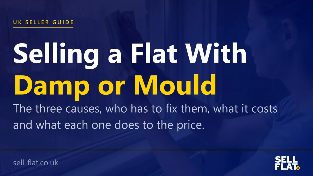 Selling a flat with damp, condensation or mould: a practical guide