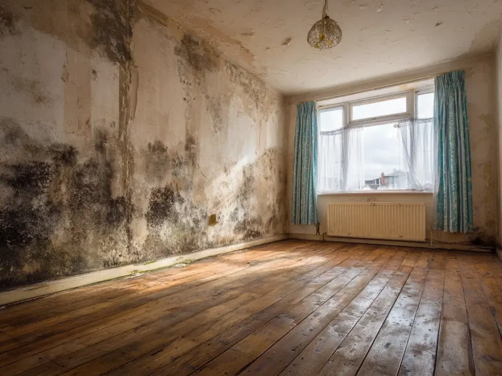 Room in a flat with signs of damp, mould and water damage