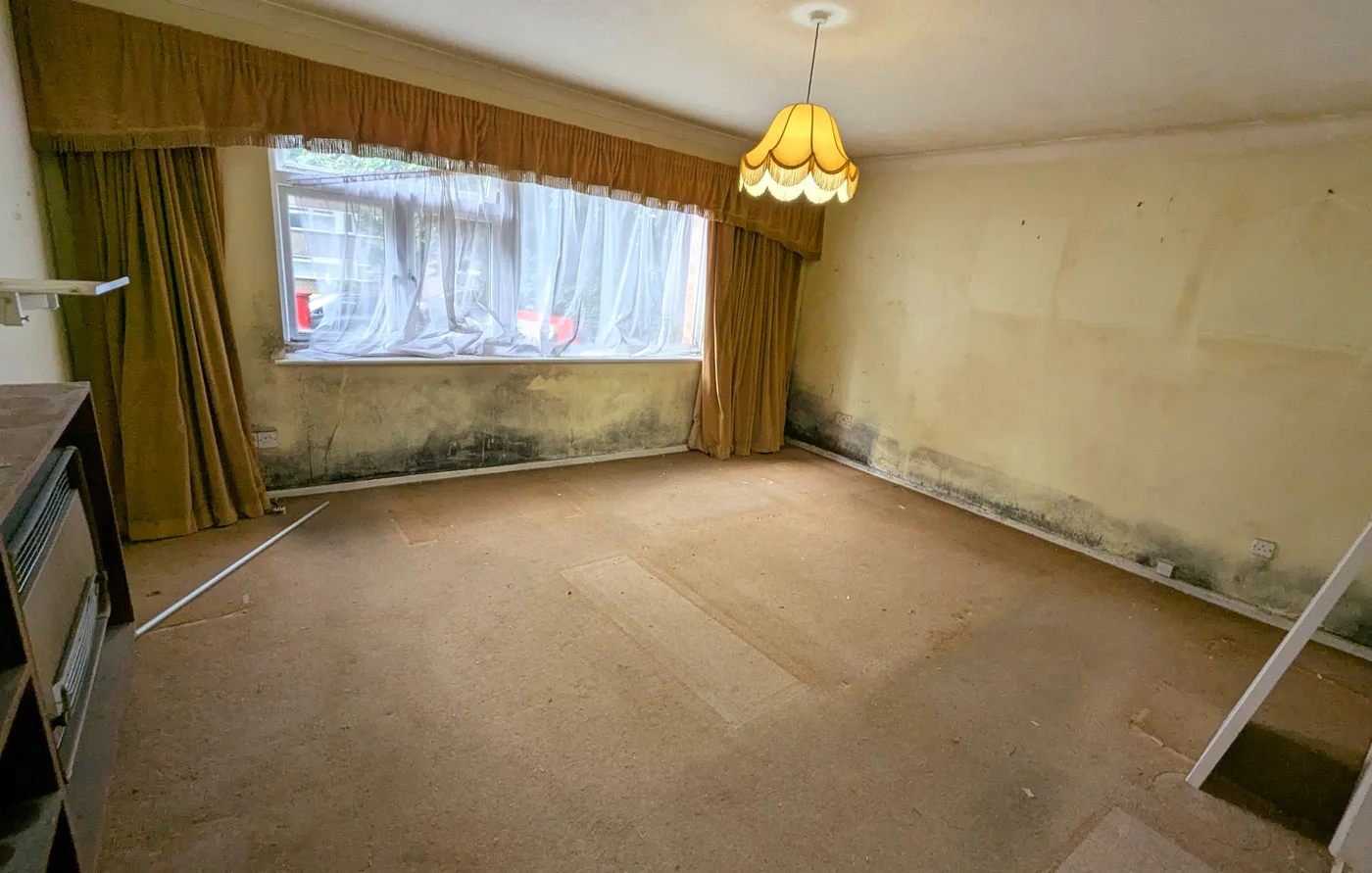 Black mould and damp staining along the base of the walls in an empty room